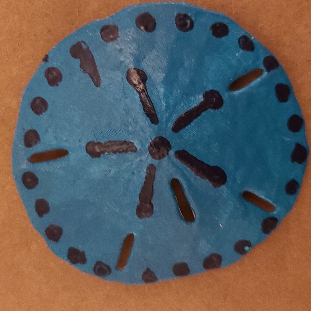 Large Sand Dollar Magnet